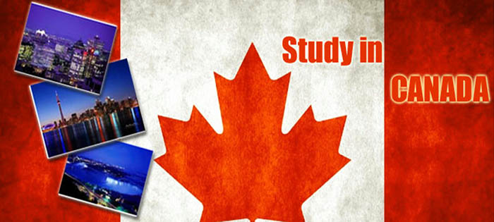 The higher education in Canada