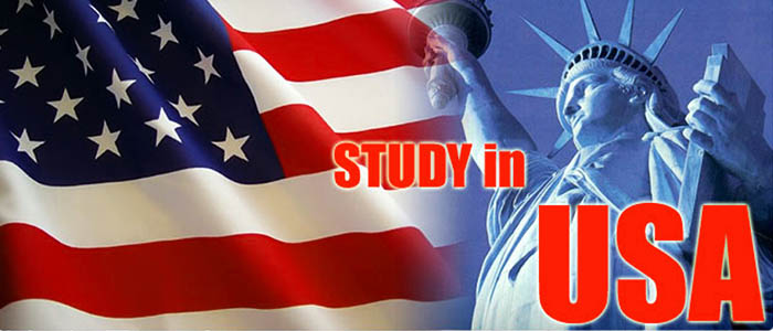 The higher education in the USA