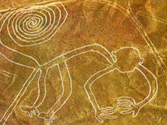New drawings in the Nazca desert