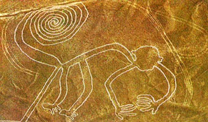 New drawings in the Nazca desert