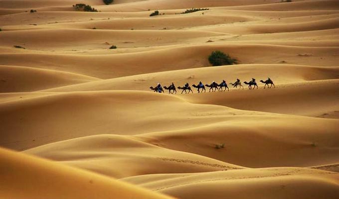 Сахара великая пустыня