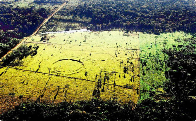 Развитая цивилизация Амазонки